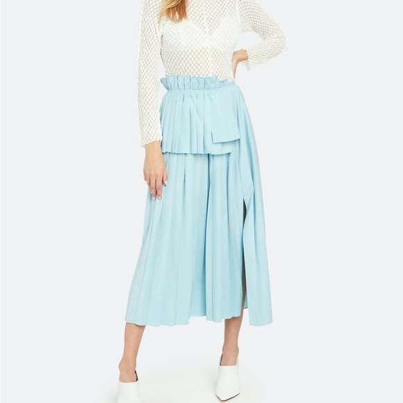 Wnderkammer Asymmetric Long Pleats Midi Skirt - Picture 3 of 13